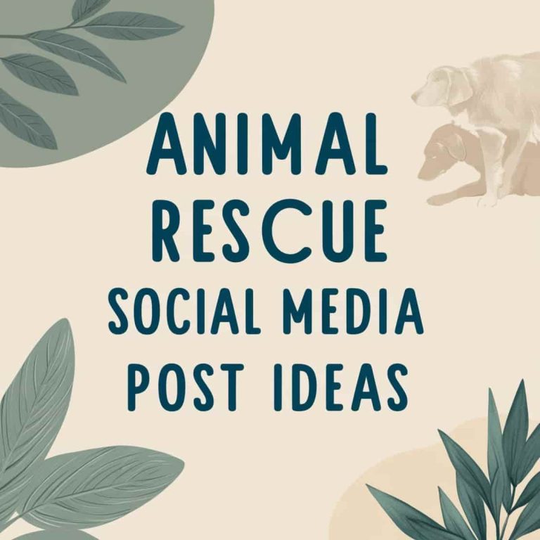 animal rescue social media post ideas